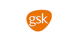 synopsys gsk